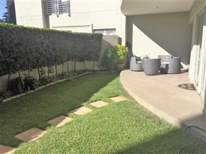 2 Bedroom Apartment in Morningside