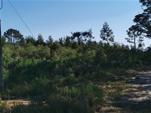 6.6 ha Land available in Kranshoek