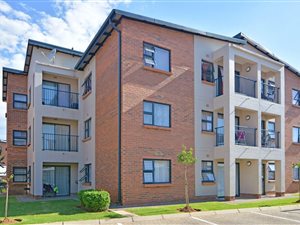2 Bed Apartment in Ravenswood