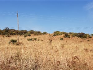 1 ha Land available in Hartzenbergfontein