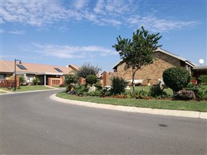 1 Bed Apartment in Montana