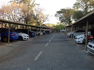 3 Bed Apartment in Newlands
