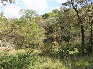 8.6 ha Farm in Waterkloof