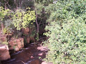 8.6 ha Farm in Waterkloof
