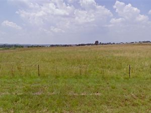 7765 m² Land available in De Deur