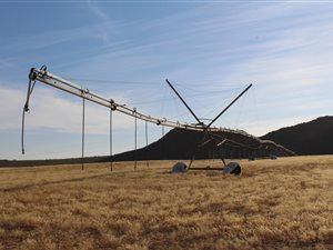 757 ha Farm in Clanwilliam