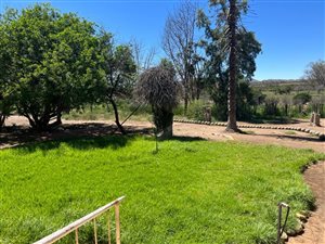 6729 ha Farm in Willowmore