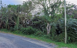 1812 m² Land available in Umzumbe
