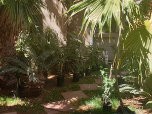 3 Bedroom Apartment in Kathu