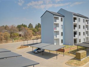 1 Bed Apartment in Glen Austin