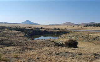 658 ha Farm in Ladybrand