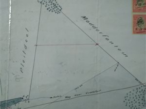 1242 m² Farm in Viljoenskroon