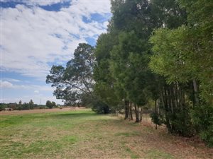 2.5 ha Farm in Randjesfontein