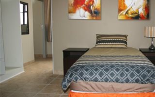 1 Bedroom Apartment in Newtown