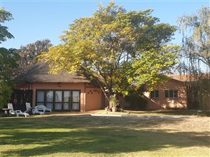 33.2 ha Farm in Magaliesburg