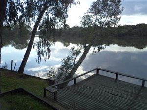 1.5 ha Farm in Parys