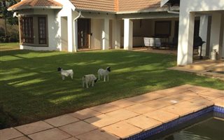 4 Bedroom House in Hurlingham