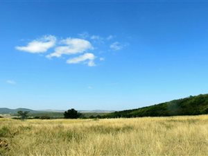 2.5 ha Land available in Modimole (Nylstroom)