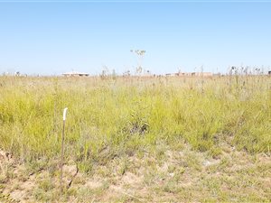 1133 m² Land available in Bronkhorstbaai