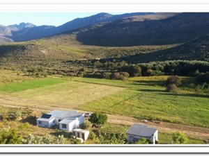 1562 ha Farm in Oudtshoorn