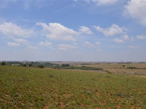 1 ha Farm in Rietvlei View