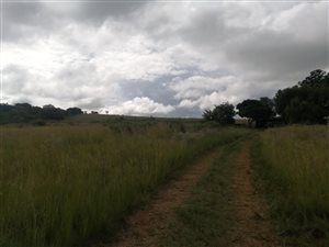 8.5 ha Land available in Kameeldrift