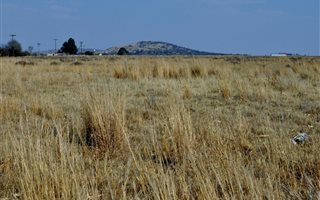 8.6 ha Land available in Nelsonia