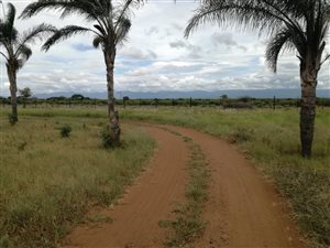 21.4 ha Farm in Louis Trichardt