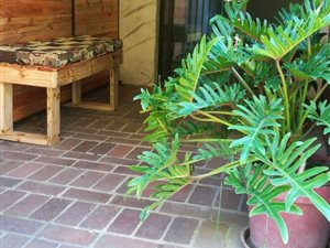 1 Bedroom Garden Cottage in Westville North