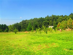 871 m² Land available in Dullstroom
