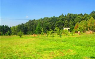 871 m² Land available in Dullstroom