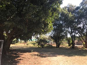 17840 ha Farm in Monavoni AH