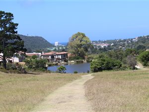 1650 m² Land available in Schoongezicht
