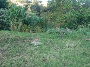 652 m² Land available in Stanger Manor