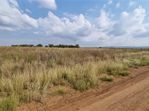 4.3 ha Land available in Mooiplaats AH
