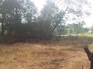 1 ha Farm in Grootfontein Estate