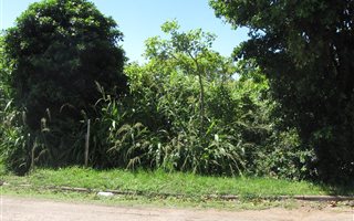 445 m² Land available in Sunwich Port