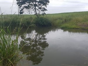 1.9 ha Farm in Ballito