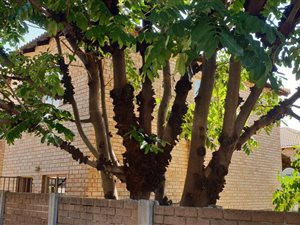 2 Bed Townhouse in Allens Nek