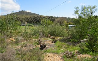 1161 m² Land available in Napier