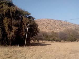 1 ha Land available in Ninapark
