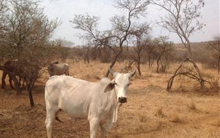 26.6 ha Land available in Kameelfontein and surrounds