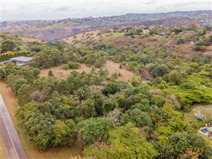 8639 m² Land available in Forest Hills