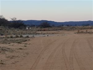 8.1 ha Farm in Boekenhoutskloof and surrounds