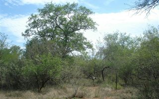 1.1 ha Land available in Raptors View Wildlife Estate