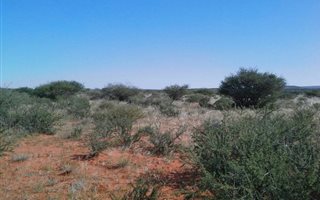 5251 ha Farm in Upington