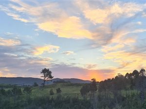 902 m² Land available in Eastford Glen