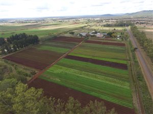 9.5 ha Farm in Bon Accord