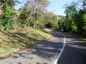 1519 m² Land available in Illovo Glen