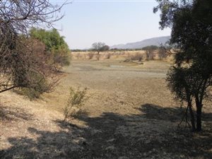 5 ha Land available in Kameeldrift